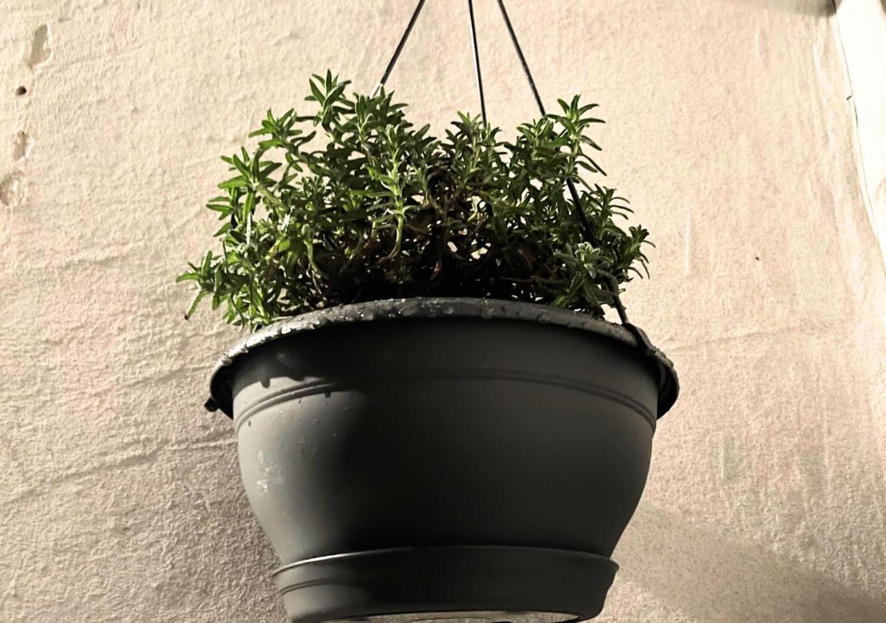 شقة Le Charme D'Antan - Terrasse - Balcon - Hypercentre إفرو المظهر الخارجي الصورة